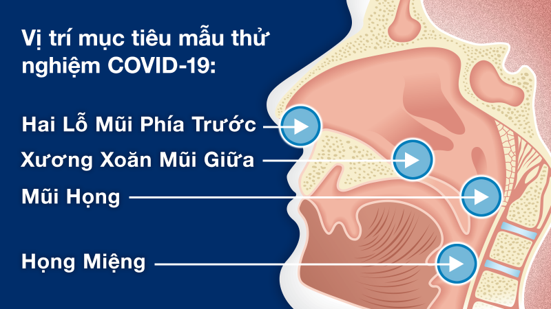 Hướng dẫn lấy mẫu xét nghiệm dịch họng, dịch tỵ hầu và bảo quản mẫu bệnh phẩm